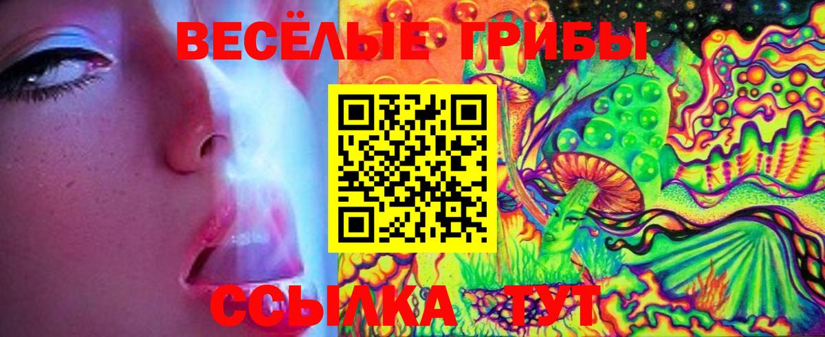 Галлюциногенные грибы Psilocybe Альметьевск
