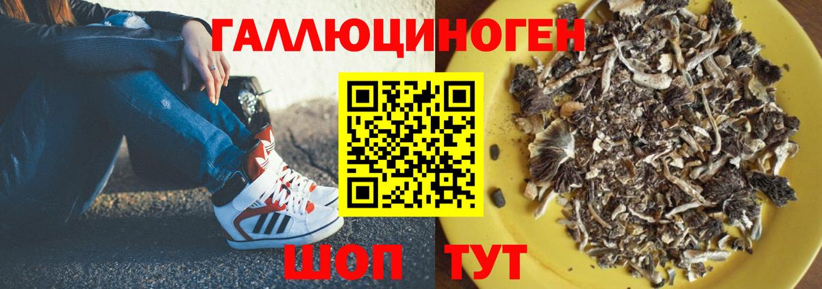 Псилоцибиновые грибы ЛСД  Вход с VPN  дарнет шоп  Альметьевск 
